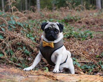 Green Tweed Handmade Harness, Harris Tweed Dog, Bow Tie Harness, Pet Harness, Wedding Dog Harness, Dog Harnesses, Harnesses, Pug Harness