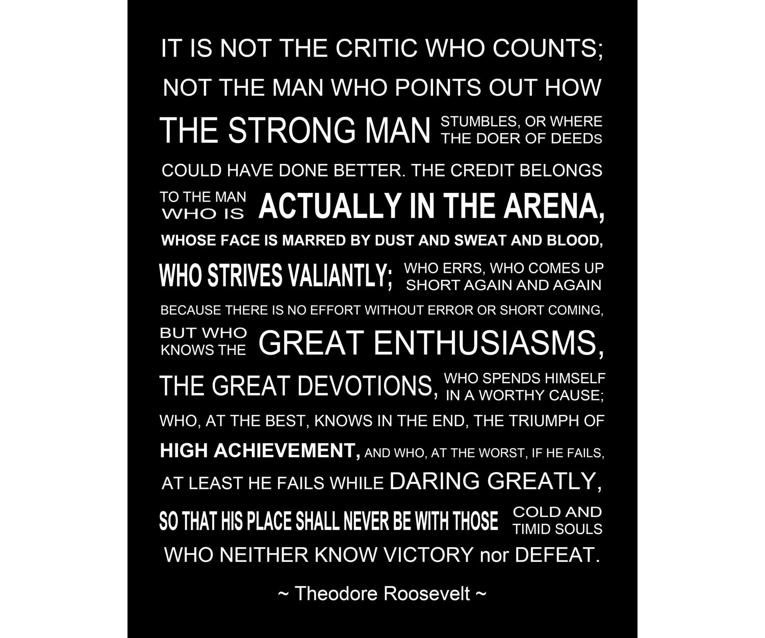 The Man In The Arena Theodore Roosevelt Speech Printable