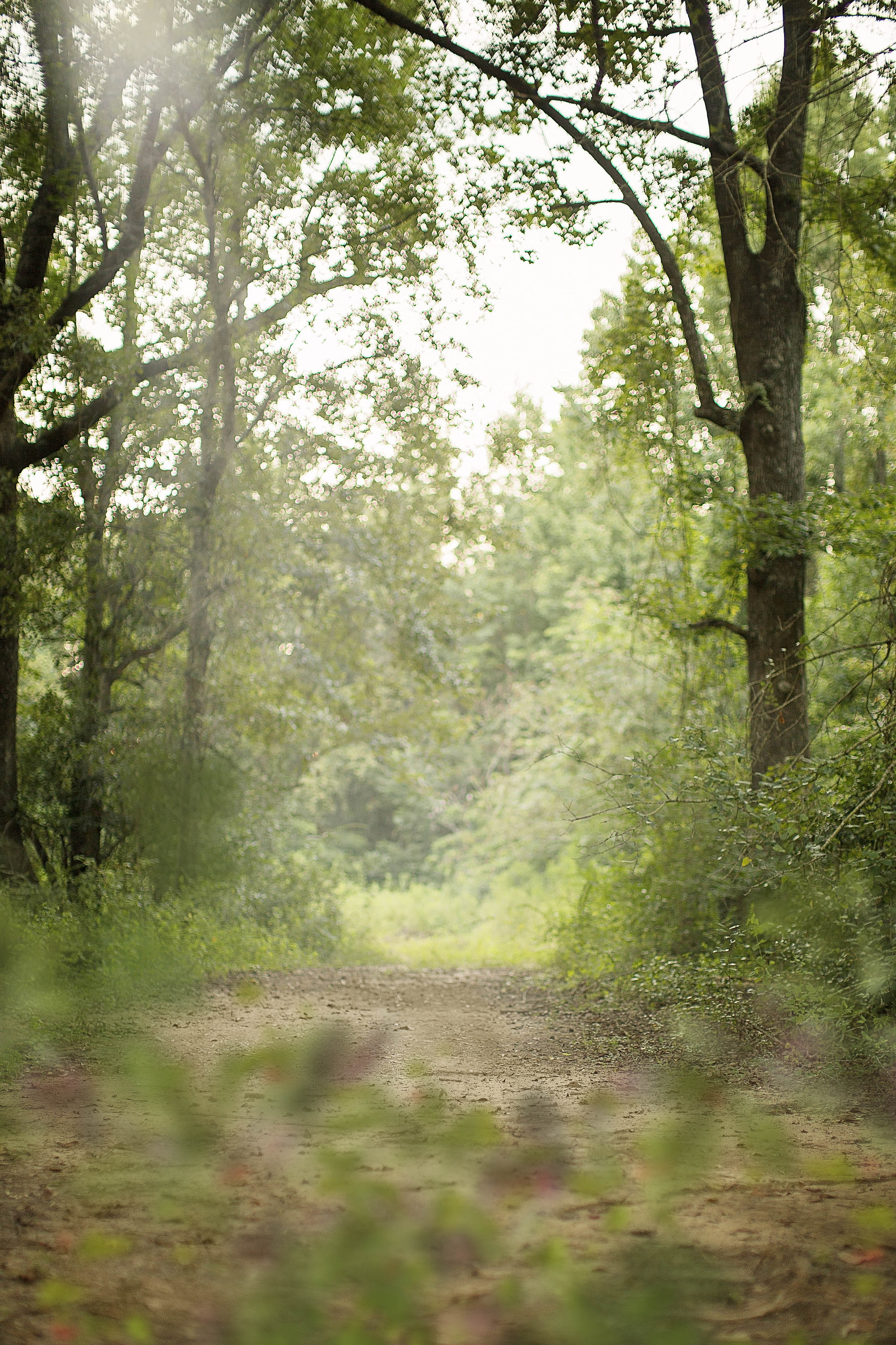 Outdoor Digital Backdrop