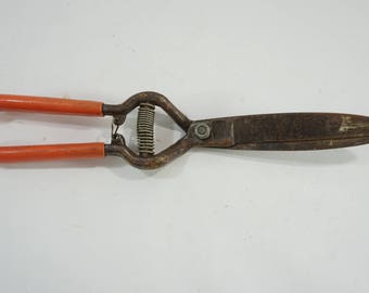 Vintage Garden Clippers, Small Hand Tool, Garden Tool Corona Metal Shears, Orange Rubber Handles, Shrub Boxwood Clippers FREE SHIPPING