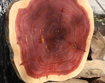 Rustic Wedding Decor, Large Tree Slices, Extra Large, Sanded + Finished, wedding cake base, cake stand, rustic centerpiece, wood for table