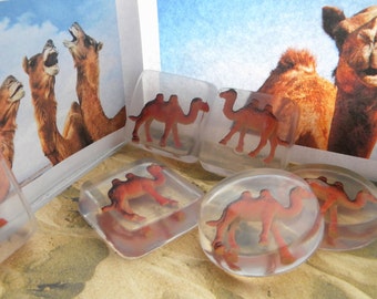 Camel soap / Camel party favors
