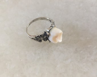 Memento Mori Human Molar Tooth Ring
