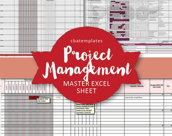 Master PROJECT MANAGEMENT Excel Template - instant download