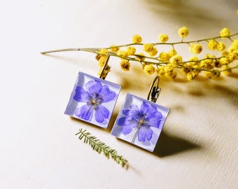 Flower earrings / nature inspired jewelry / real flower jewelry / gift for a woman/ herbarium / birthday gift / Pressed flowers/ Purple