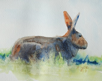 Cottontail Rabbit print from my original water color painting