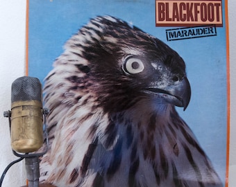 Blackfoot (with Rickey Medlocke) Vinyl Record Album LP 1980s Native American Roots Southern Rock Guitar Jam "Marauder" (1981 Atlantic)