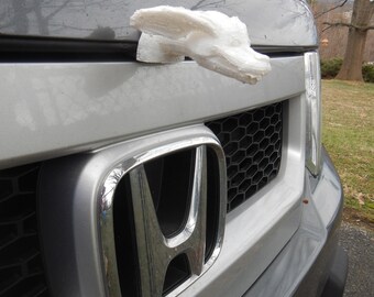 Lucky Dog Universal* Hood Ornament