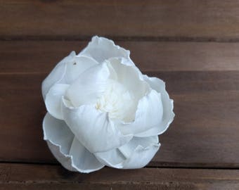 One Dozen 2-2.5" Sola Wood Peony Flowers with Pollen