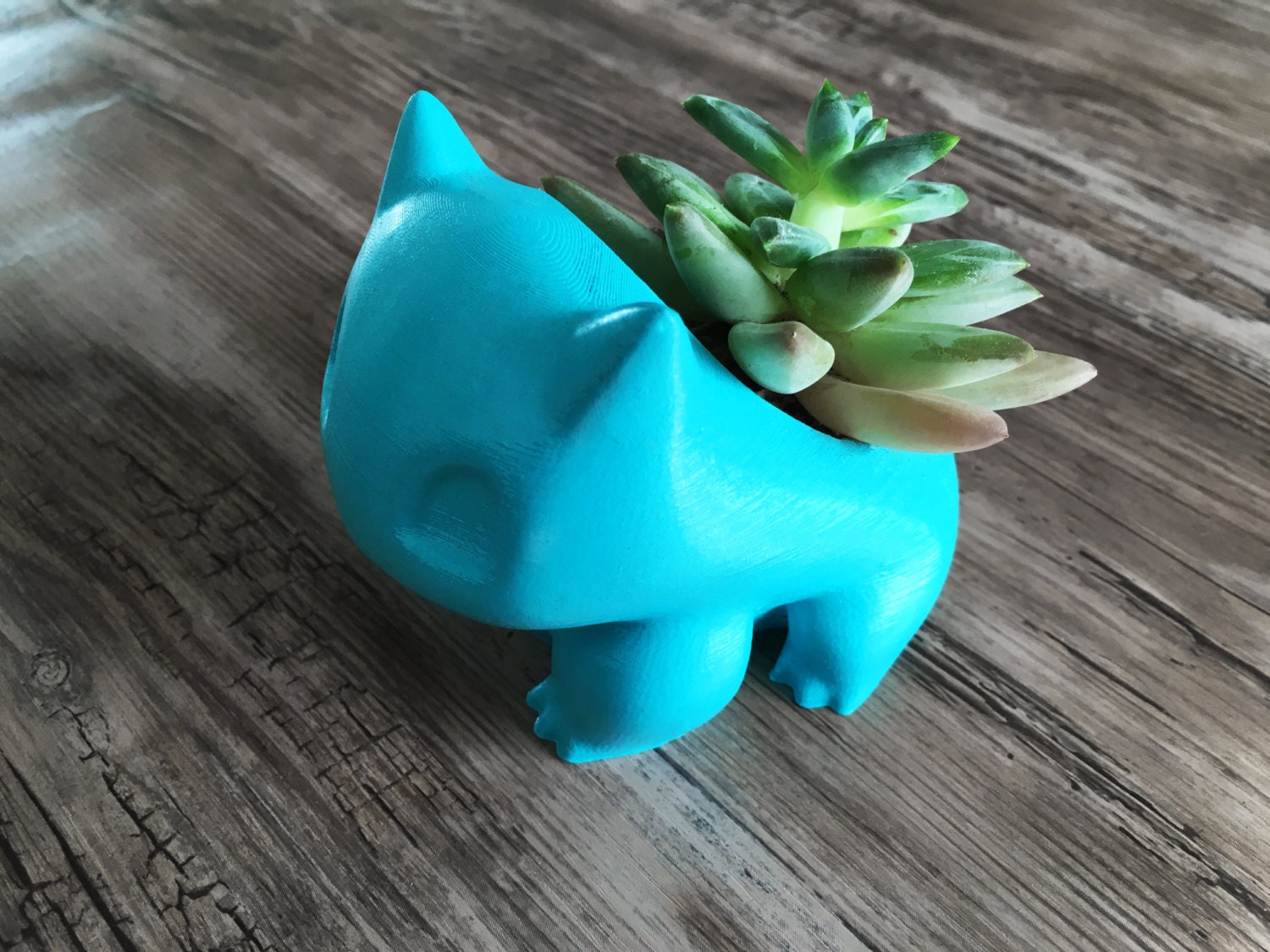 Pokemon Bulbasaur Planter with Plant Desk and Home Decor