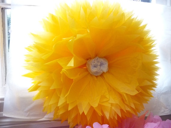 pom pom daisy flower pom pom daisy flower