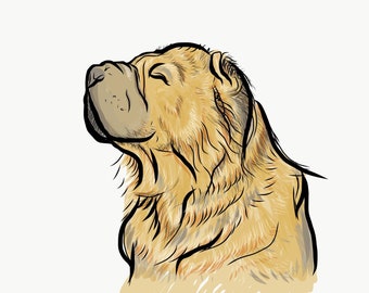 8x10 print custom dog portrait