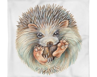 HEDGEHOGball ----- Square Pillow CASE only ----- - ship from USA