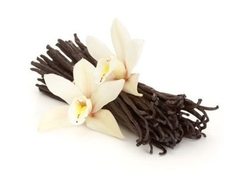 10 Premium Gourmet Vanilla Beans - Madagascar Bourbon, Fresh & Prime Grade A for Vanilla Extract and Baking (10 BEANS)