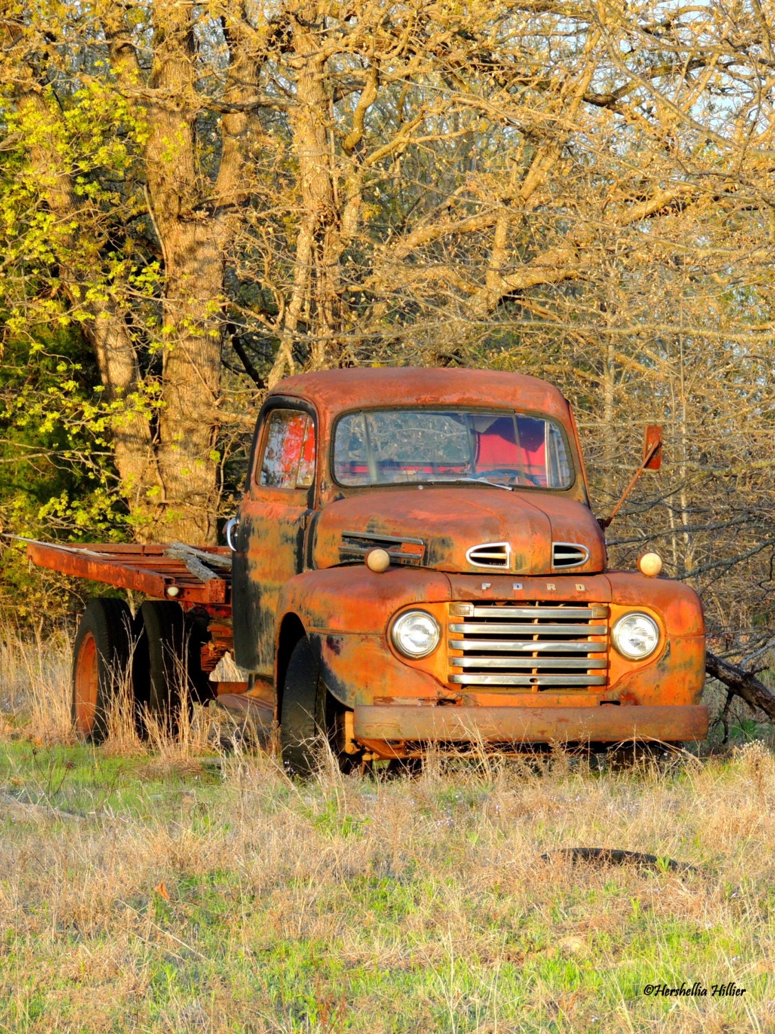 Old Ford TruckFREE SHIPPING Farmhouse Decor Vintage Truck