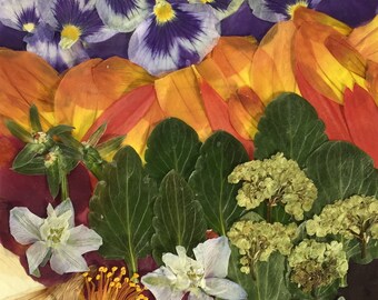 Flower 08.18 Giclee Print 12”x18”
