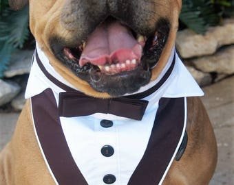 Dog Tuxedo, Dog Wedding Attire, Dog Clothes, Tuxedo Collar, Black and White Tuxedo, Large Dog Tux, Pet Wedding Clothes