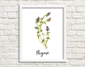 thyme and table black and white dot