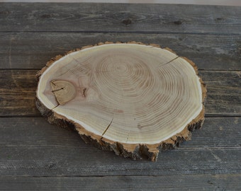 Large Elm Tree Slice- Wall Hanging, Candle Stand, Centerpiece, Large Wood Slice, Cake Stand (WS6022)