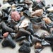 Sharks Teeth, 100 Prehistoric Fossilized Sharks Teeth For Industrial Chic Assemblage Mixed Media Steampunk Jewelry Supplies