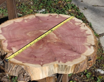 Rustic Wedding Centerpiece, Extra Large, Tree Slices, Wood piece, large wood slab, 20"-25" diameters, centerpiece, guest book, cake stand