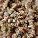 Autumn Jasper Chip Beads 36" Natural Gemstone Small Nugget Beads Pink Green Clear Mix