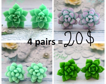 succulent earrings, succulent set, cactus earrings, succulent stud, succulent flowers, mint earrings, earrings stud, succulent jewelry, gift