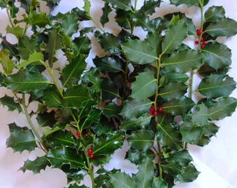 Holly stems with berries, fall decor, flower arranging, swag making, bridal bouquets, mantle decorations, wreath making and holiday crafts