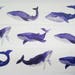 Design Washi tape whale sea Watercolour
