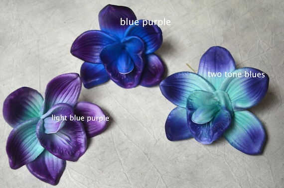 blue or purple flowers