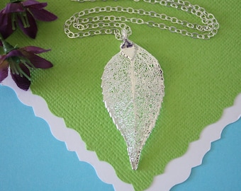 Silver Evergreen Leaf Necklace, Real Leaf Necklace, Evergreen Leaf, Sterling Silver Leaf Necklace, LC30