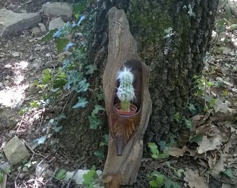 cache pot hoof Driftwood