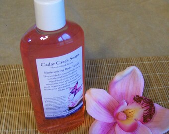 SHOWER GEL ~ Summer Boardwalk Shower Gel Body Wash Bubble Bath 8 oz Bottle