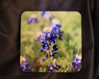 4x4 inch Bluebonnet Coaster