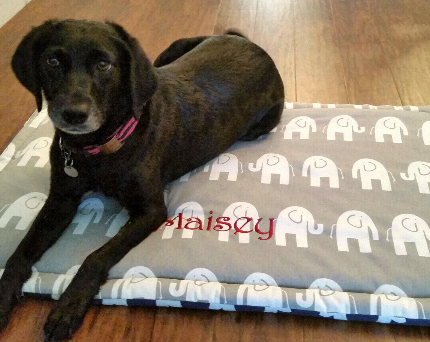 Dog Mat for Training Medium Mat for Car Dogbed Crate