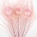 Dusty Rose Pink Peacock Feather Eyes (2 size option)(RF) feather for boutonniere,earring,wedding bouquet,millinery hat,corsage,fascinator