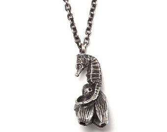 Small barnacle seahorse