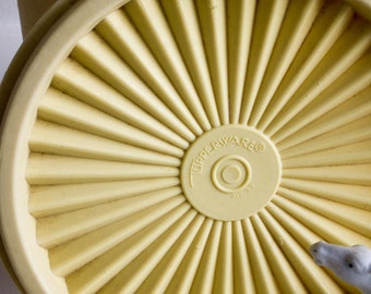 Vintage Tupperware storage container