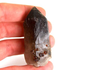 INCREDIBLE 48 gram Spessartine Garnet on ELESTIAL Smoky Quartz Crystal Vivid Orange