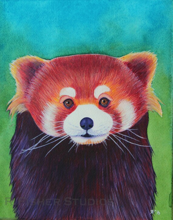 Items similar to Red Panda Watercolor Painting Red Panda Painting Red ...