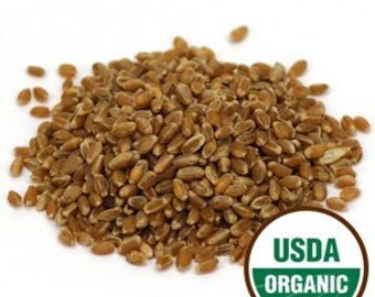 Wheatgrass Sprouting Seeds, Organic