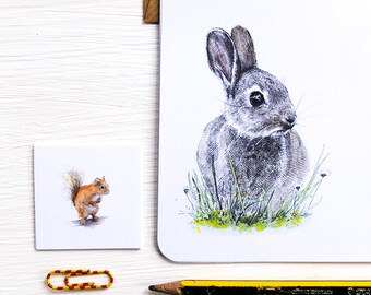 British Mammals Letter Writing Set - Illustrated Writing Paper