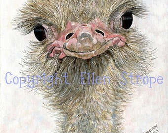 CARD, ostrich, ostrich decor, bird decor, note cards, Ellen Strope, castteam, home decor, ostrich cards