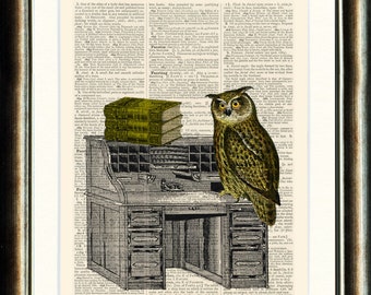 Owl on Bureau - Upcycled vintage image printed on a late 1800s Dictionary page Buy 3 get 1 FREE