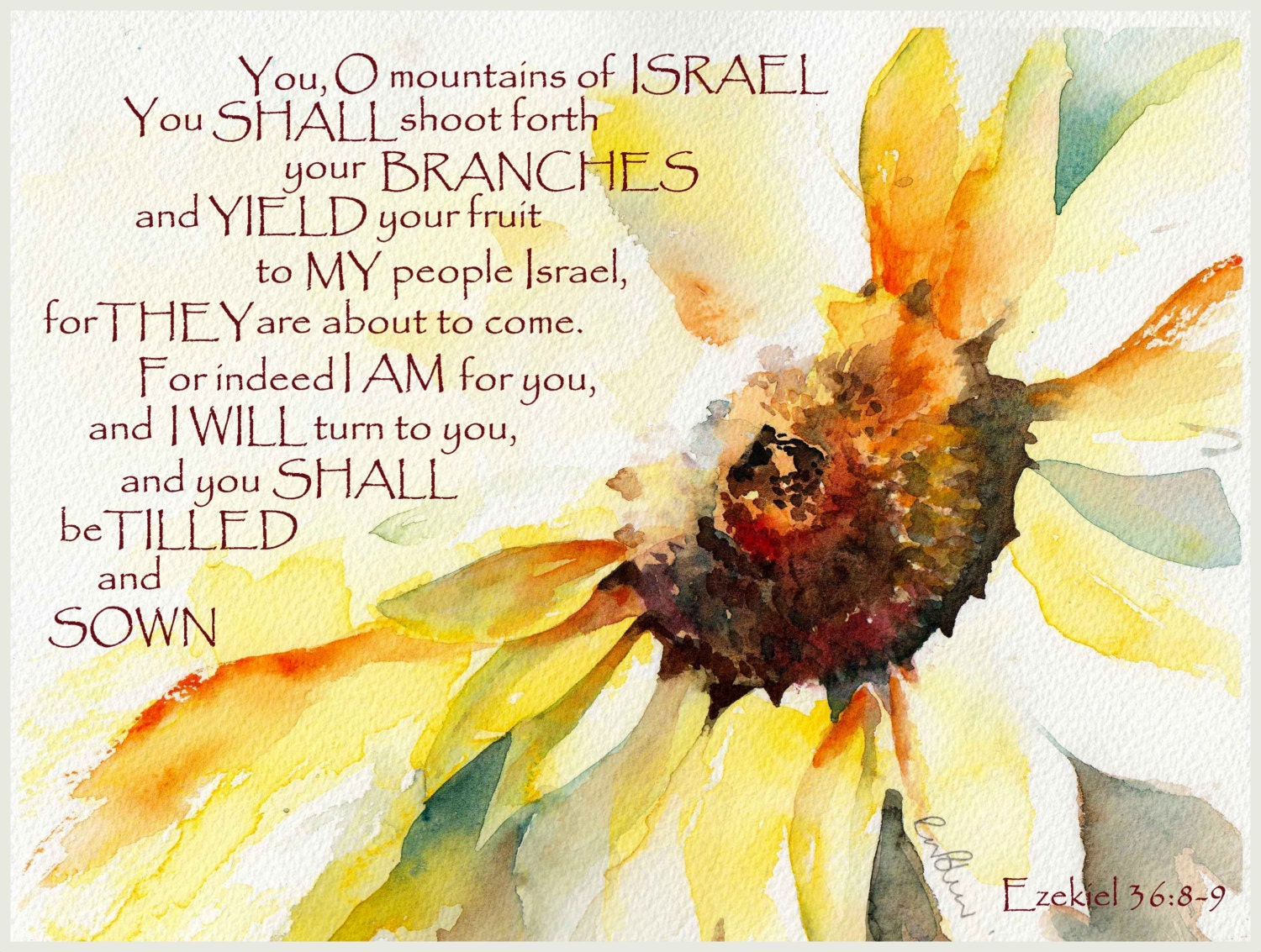 SUNFLOWER Israel bible verse scripture mounted watercolour