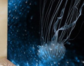Tapestry Wall Hanging Jellyfish