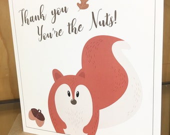 Thankyou You're The Nuts Squirrel Greetings Card