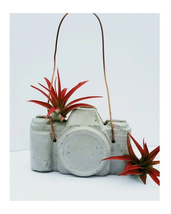 Concrete Camera/Camera Air Planter/Air Planter/Photographer Gift/Air Plant holder/Camera Decor/Concrete Decor/Photographer Lover/Industrial