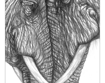 Love - Fine Art Print