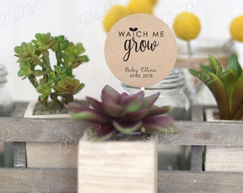 20 custom watch me grow tags,printed watch me grow tags,watch me grow succulent favor tags,baby shower tags,printed watch me grow,printed